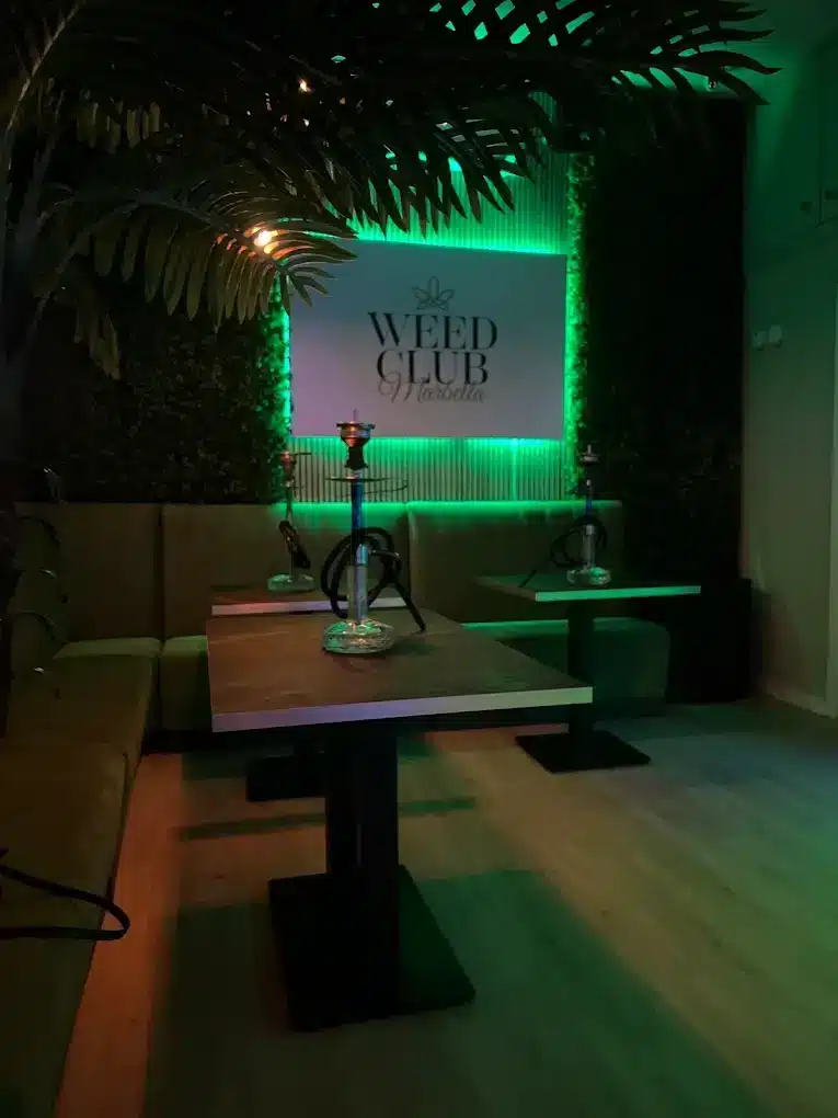 420 Weed Club Marbella – The Ultimate Social Club in Marbella 6 Weed club Marbella social club cannabis marijuana