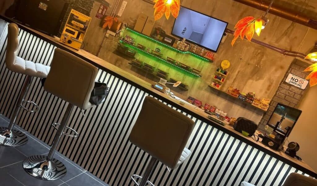 AM17 Private Lounge – Exclusive Members-Only Club in Tenerife 1 AM17 Private Lounge – Exclusive Members-Only Club in Tenerife cannabis club – entry pass