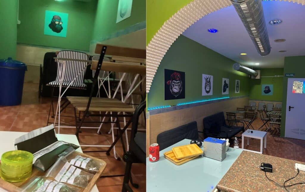 Frank Weed Club – Your Private Cannabis Lounge in Malaga 2 Frank Weed Club – Your Private Cannabis Lounge in Malaga cannabis club – entry pass