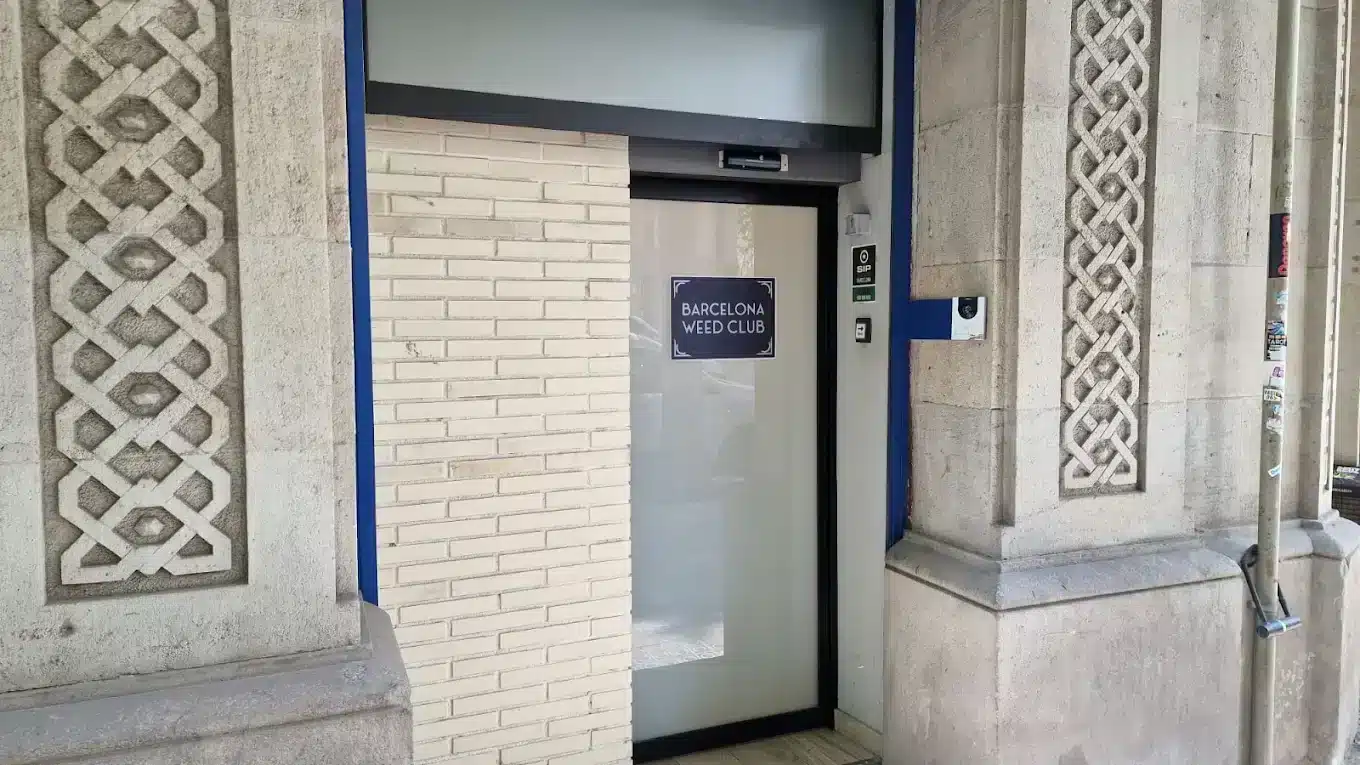 Barcelona Weed Club 2 Barcelona Weed Club cannabis club Barcelona – entry pass