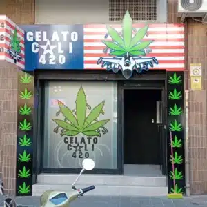 ASOCIACION CANNABICA &ndash; GELATO CALI 420 ALICANTE