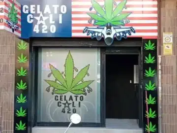 ASOCIACION CANNABICA &ndash; GELATO CALI 420 ALICANTE &ndash; Cannabis Club Pass