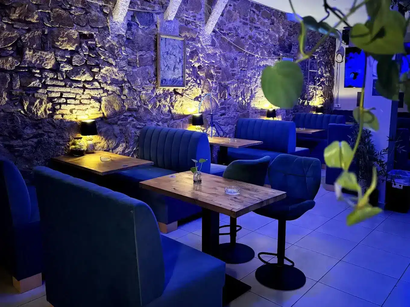 Blue Dream Weed Club | Cannabis Club en Barcelona 2 Blue Dream Weed Club | Cannabis Club en Barcelona cannabis club Barcelona – entry pass