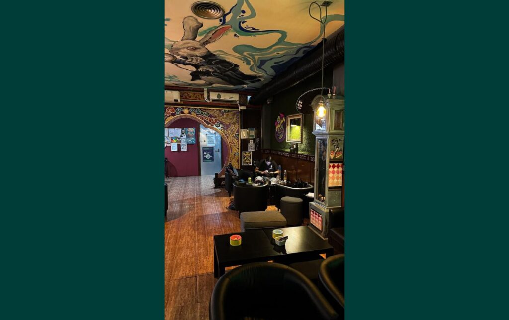 Alice Asociación – Valencia’s Premier Private Social Club 3 Alice Asociación – Valencia’s Premier Private Social Club cannabis club – entry pass