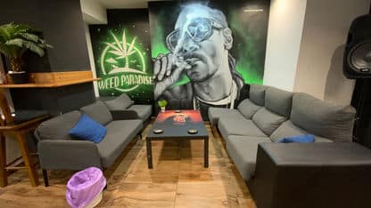 Asociación Paradise 3 Asociación Paradise cannabis club Sevilla – entry pass