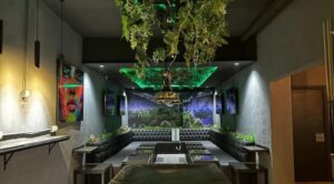 Green World cannabis club Santa Cruz de Tenerife &ndash; entry pass