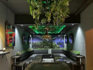 Green World – Cannabis Club Pass