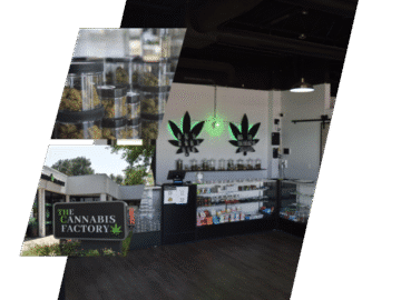 The Cannabis Factory – Cannabis Club Pass