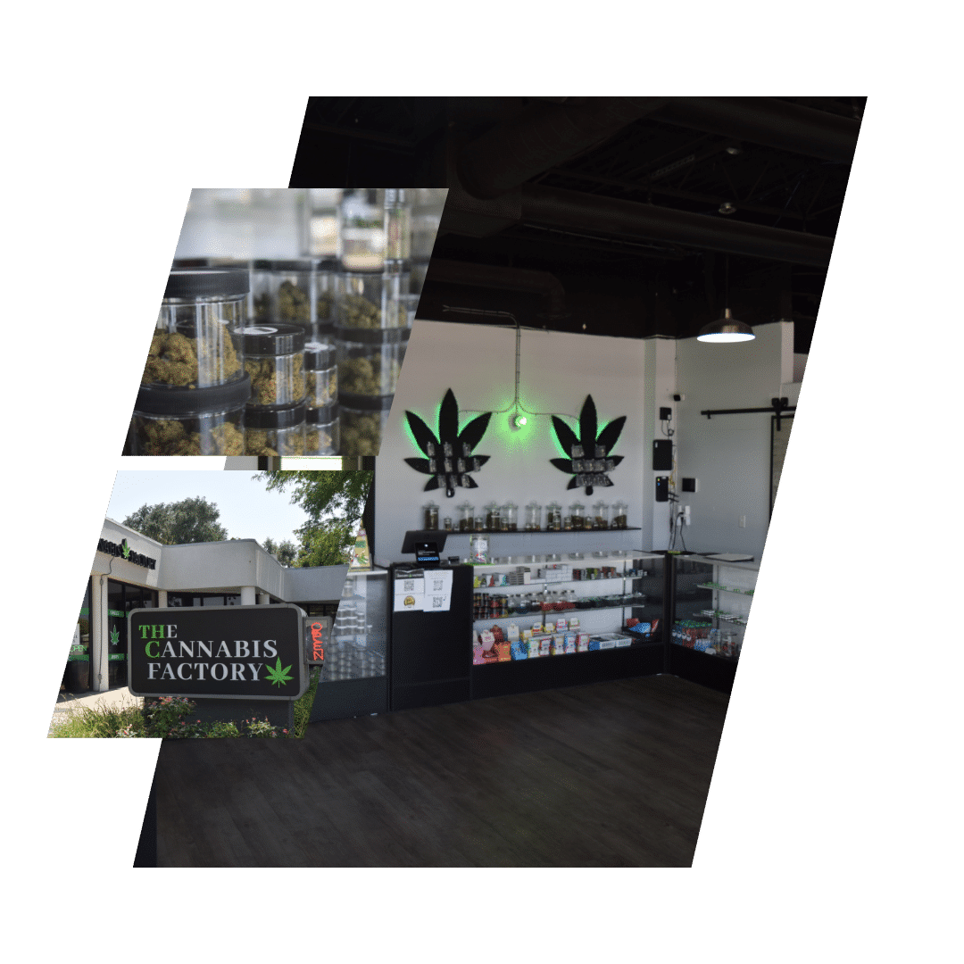 The Cannabis Factory 1 The Cannabis Factory cannabis club Malaga – entry pass