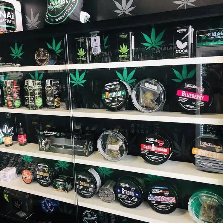 Cannabis Shop Salou cannabis club Tarragona &ndash; entry pass