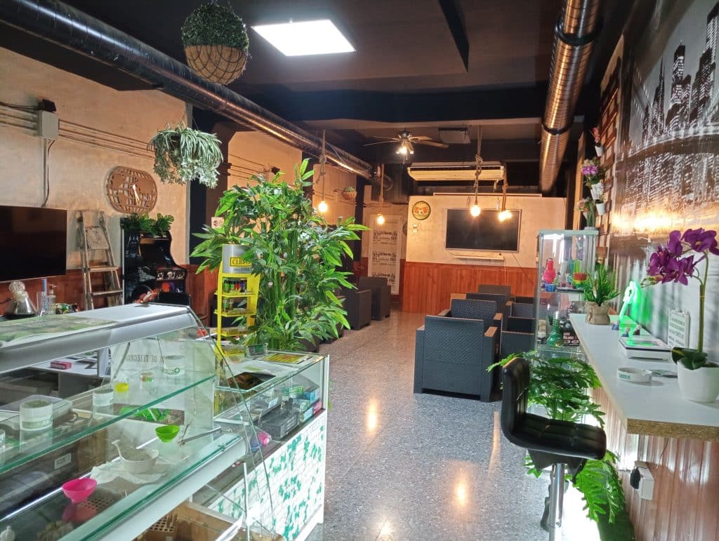 Asociación Green Island Nervión 1 Asociación Green Island Nervión cannabis club Sevilla – entry pass