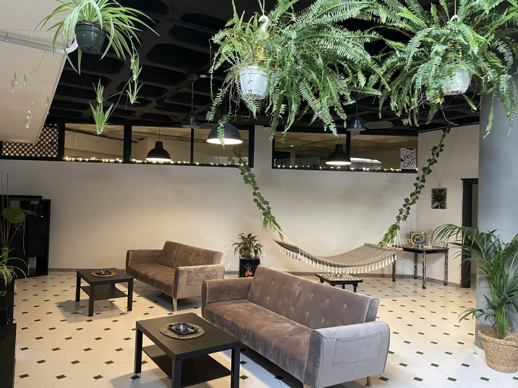 Weed Tenerife Cannabis Social Club Satindica 2 Weed Tenerife Cannabis Social Club Satindica cannabis club Castellón – entry pass