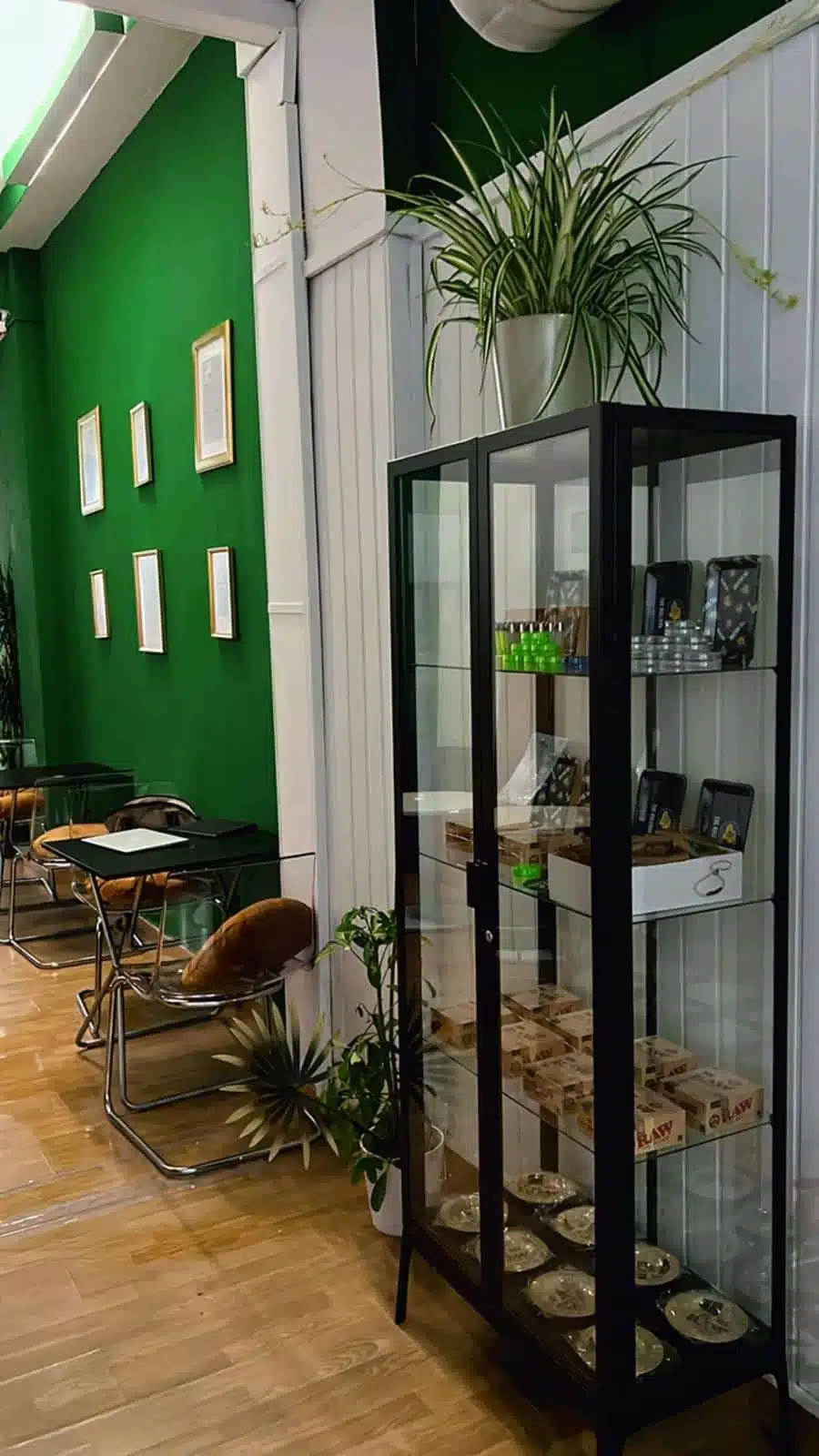 L&uacute;dico social Club cannabis club Madrid &ndash; entry pass