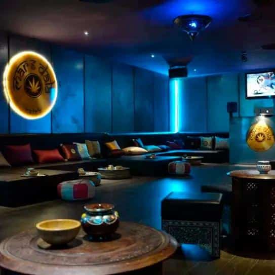 Asociación club Greenfingers 1 Asociación club Greenfingers cannabis club Santa Cruz de Tenerife – entry pass