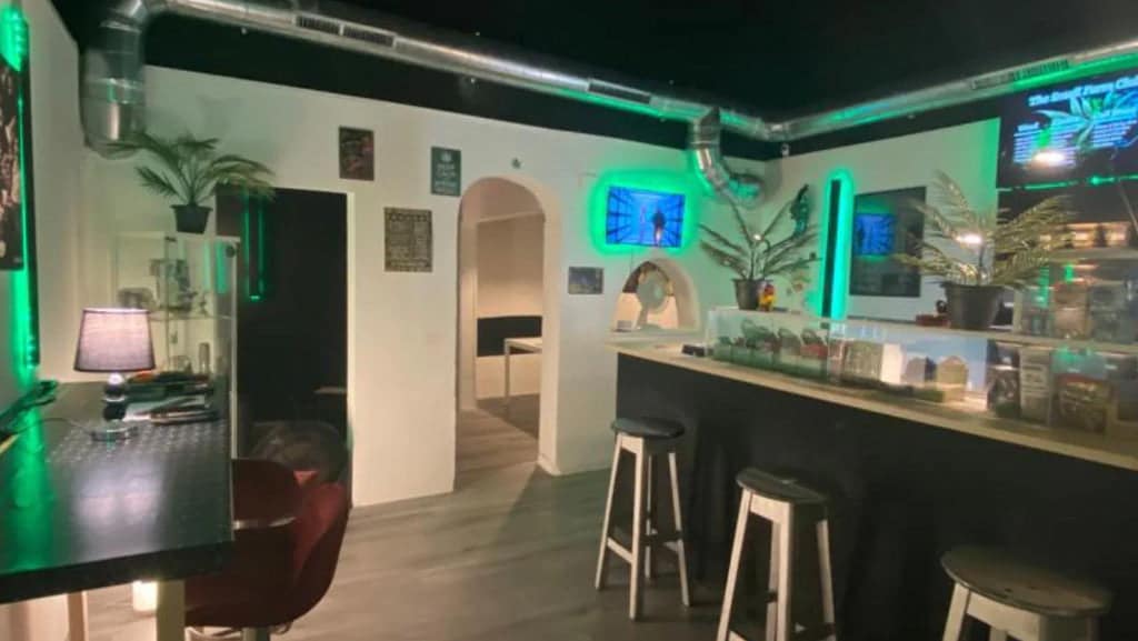 Social Club The Small Club 2 Social Club The Small Club cannabis club Palma de Mallorca – entry pass