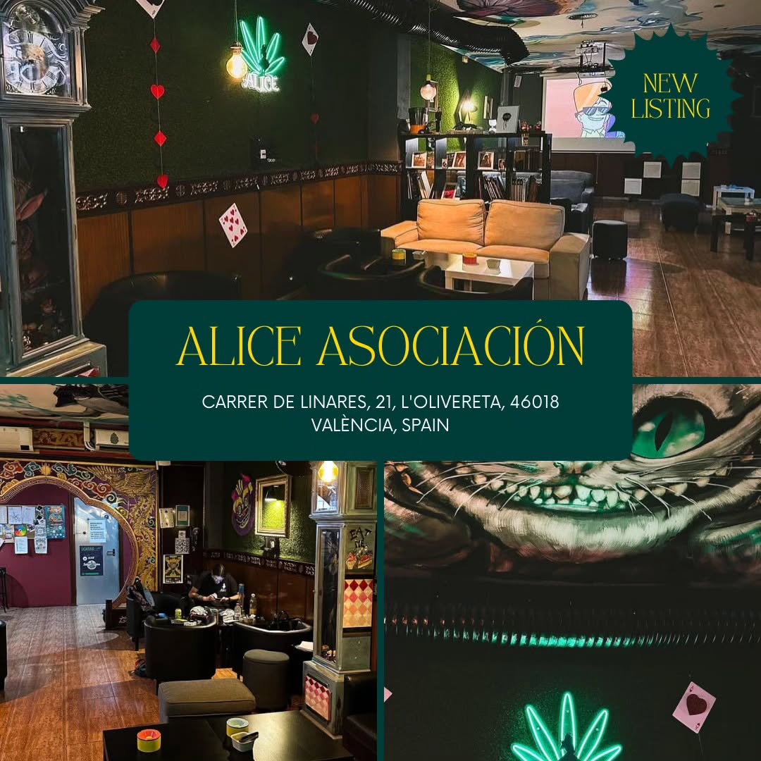 Alice Asociación – Valencia’s Premier Private Social Club 1 Alice Asociación – Valencia’s Premier Private Social Club cannabis club – entry pass