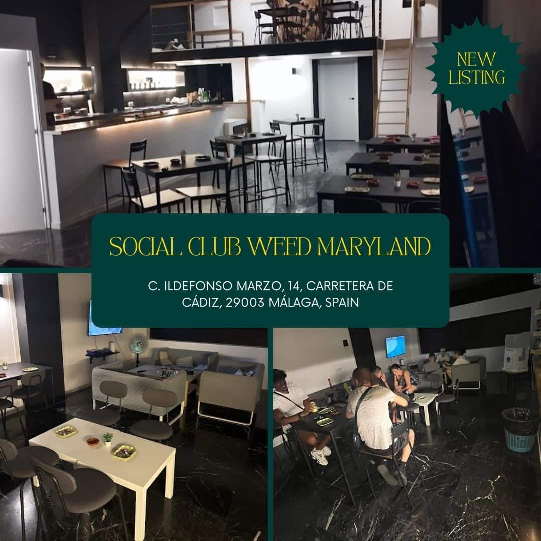 Social Club Maryland – Málaga’s Premier Private Social Spot 1 Social Club Maryland – Málaga’s Premier Private Social Spot cannabis club – entry pass
