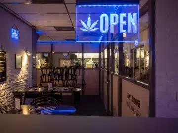 The Club Denia &ndash; Premium Private Social Club in Denia cannabis club &ndash; entry pass