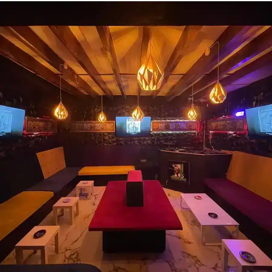 Social-Club The Green Ape 3 Social-Club The Green Ape cannabis club Palma de Mallorca – entry pass