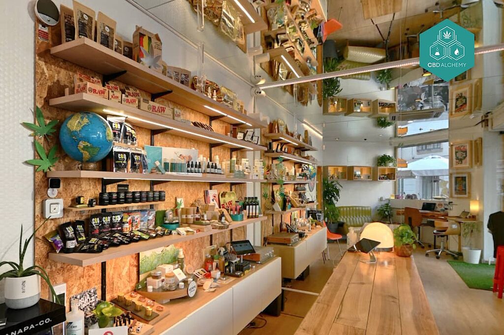 Cannabis Clubs Valencia: Your 2025 Guide to Social Clubs 3 CBD Valencia High As Benimaclet Valencia