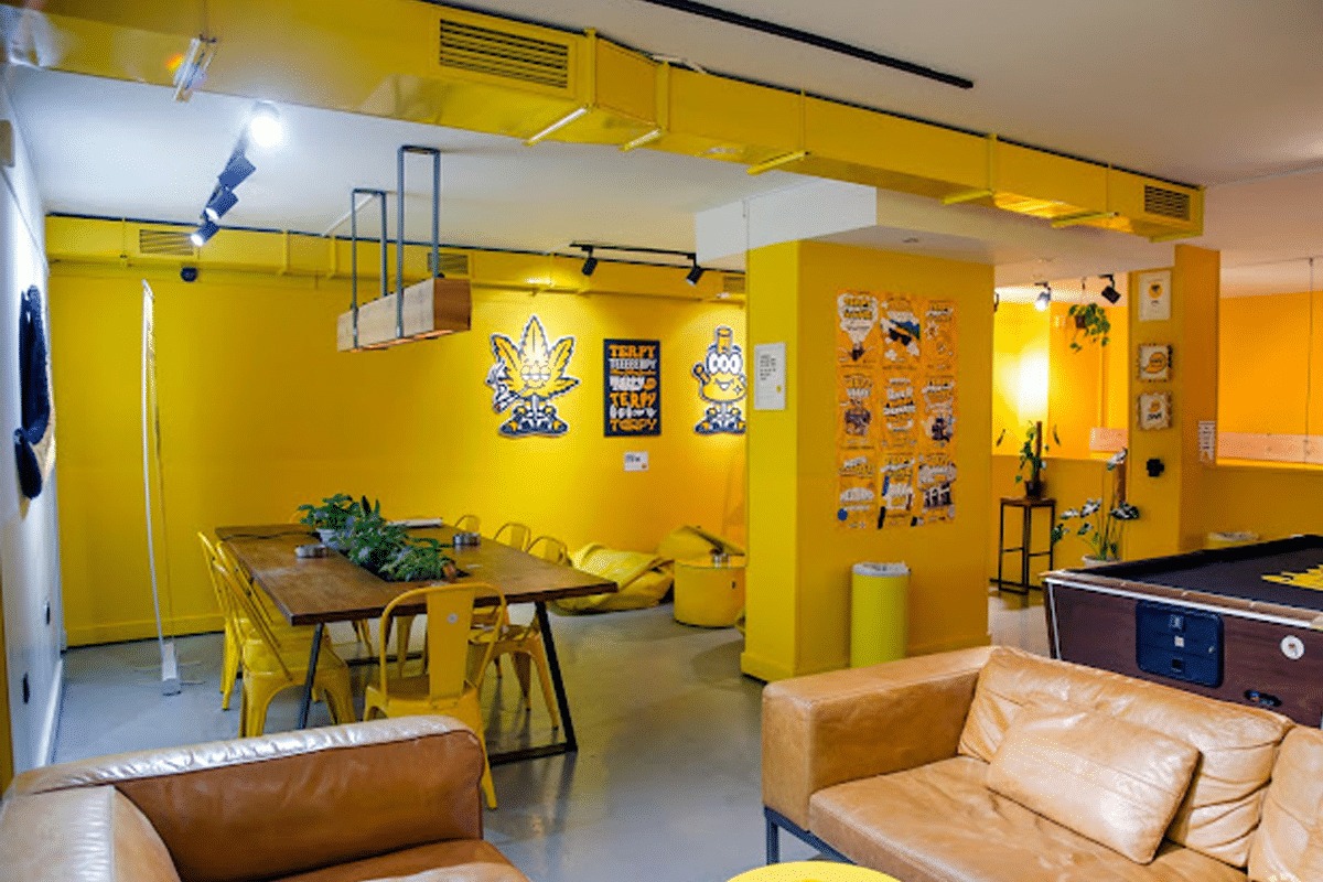 La Main Verte Social Club Privado Cannabico 3 La Main Verte Social Club Privado Cannabico cannabis club Girona – entry pass