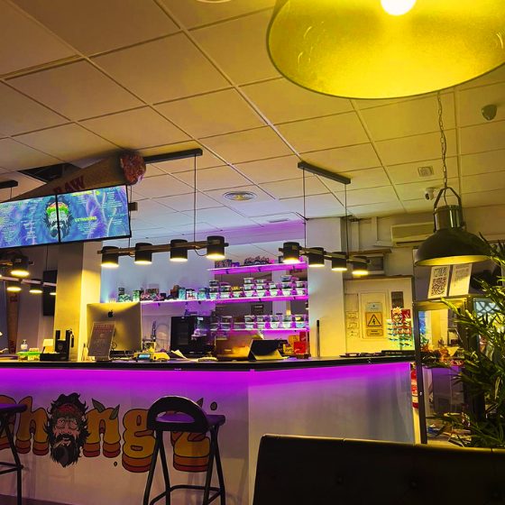 The Hashienda 3 The Hashienda cannabis club Santa Cruz de Tenerife – entry pass