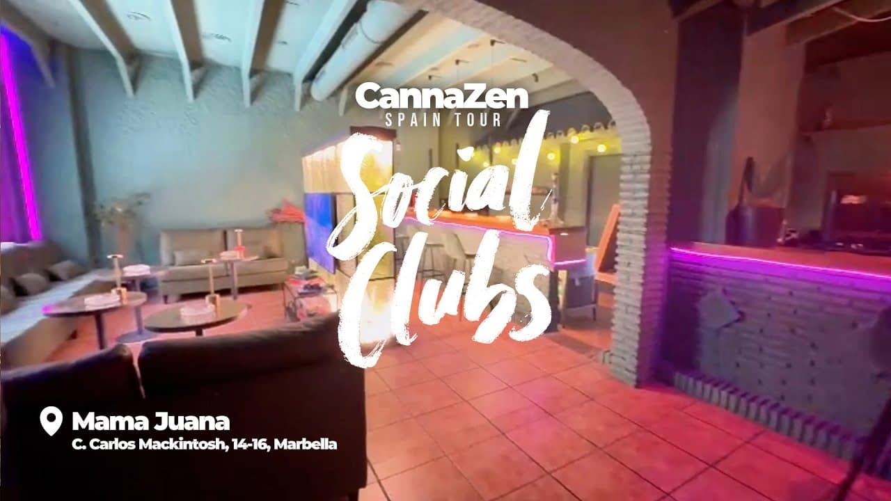 Mama Juana Social Club 1 Mama Juana Social Club cannabis club Marbella – entry pass