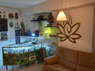 555 Nirvana THC 420 Social Cannabis Club cannabis club Santa Cruz de Tenerife – entry pass