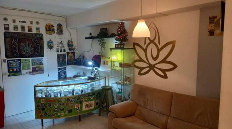 555 Nirvana THC 420 Social Cannabis Club 1 555 Nirvana THC 420 Social Cannabis Club cannabis club Santa Cruz de Tenerife – entry pass