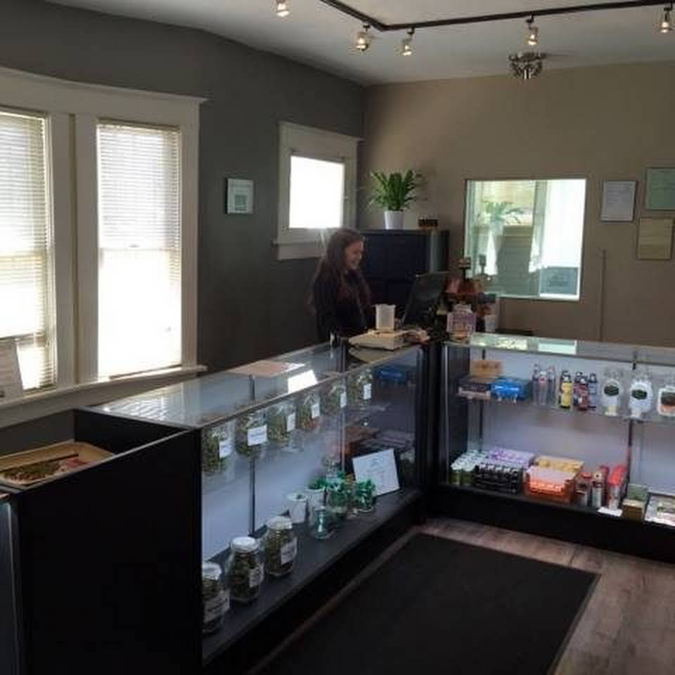 Planta de vida 3 Planta de vida cannabis club Malaga – entry pass