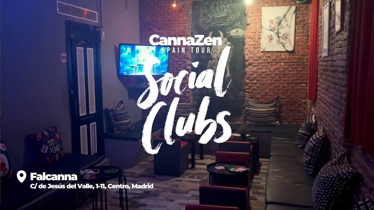 C Social Club 1 C Social Club cannabis club Madrid – entry pass