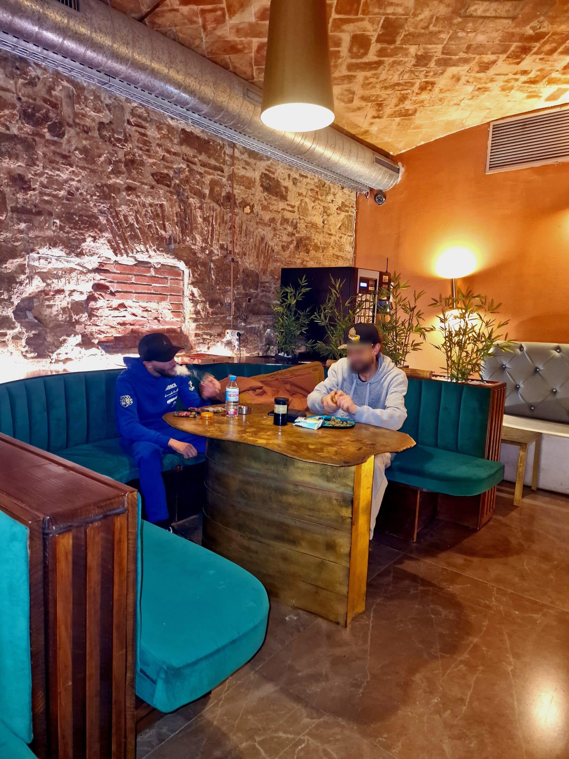 Asociación cánabica Dr.Green 2 Asociación cánabica Dr.Green cannabis club Castellón – entry pass