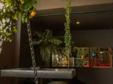 IBZ 420 &ndash; Cannabis Club Pass