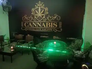 CSC Alicante cannabis club Alicante – entry pass