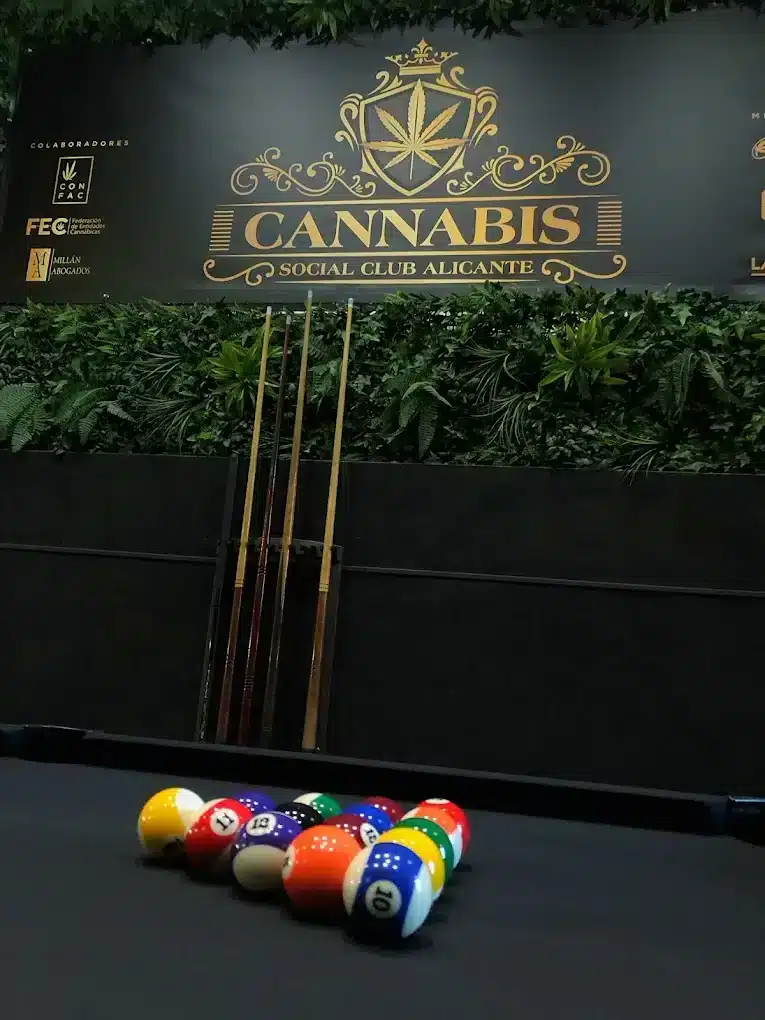 CSC Alicante cannabis social club 3 CSC Alicante cannabis club Alicante – entry pass