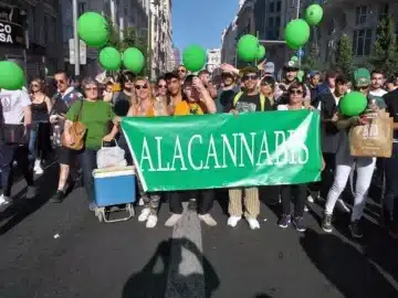 Alacannabis cannabis club Alicante &ndash; entry pass