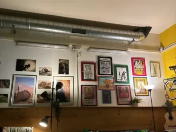 La Sagrada Maria Club cannabis club Mahon – entry pass