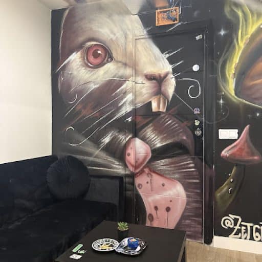 Bunny Social Club 3 Bunny Social Club cannabis club Madrid – entry pass