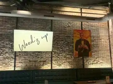 Weed &lsquo;z Up Cannabis Club Barcelona &ndash; Cannabis Club Pass