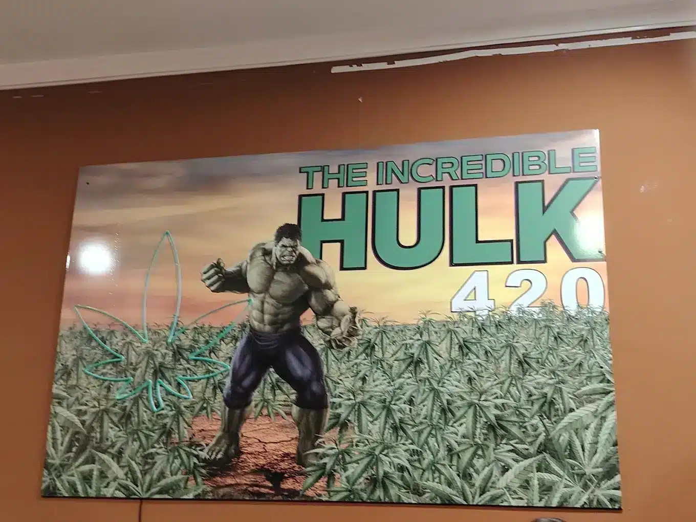 Cannabis Mallorca - CSC INCREDIBLE HULK 420 1 Cannabis Mallorca - CSC INCREDIBLE HULK 420 cannabis club Palma de Mallorca – entry pass