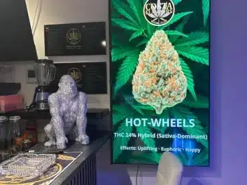 Social Club Fuengirola | Costa Flavours | Weed Club &mdash; Recensioni e Invito (M&aacute;laga) &ndash; Cannabis Club Pass