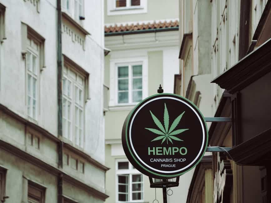 Cannabis Clubs in Malaga: Your 2026 Guide to Joining