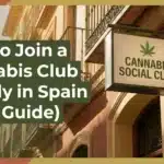 How to Join a Cannabis Club Legally in Spain (2025 Guide)