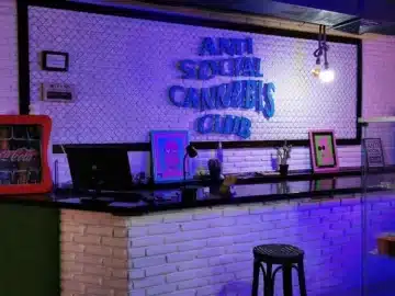 Antisocial cannabis club cannabis club Gran Canaria &ndash; entry pass