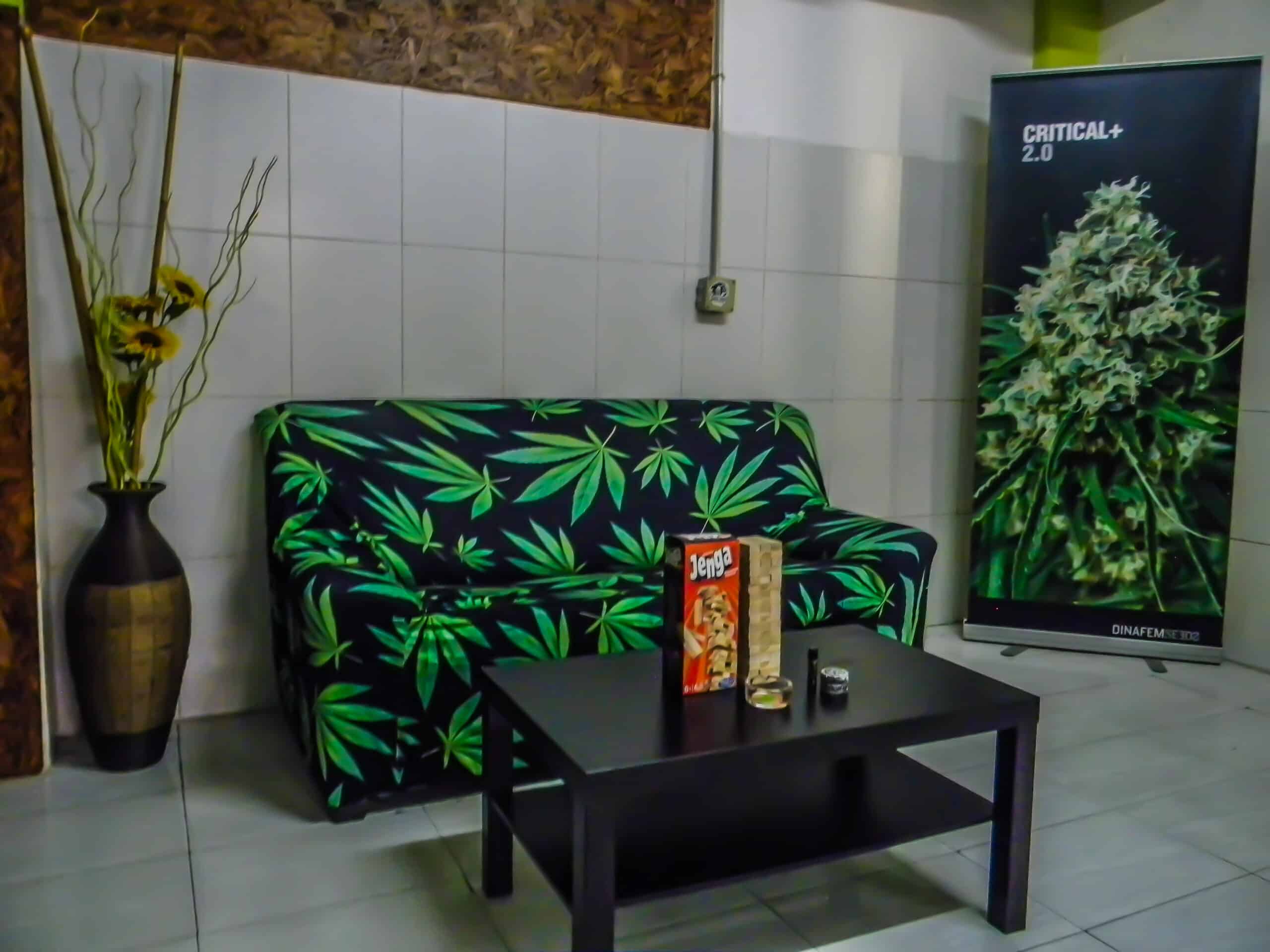 Asociación Cánnabica Dedos Verdes CSC 3 Asociación Cánnabica Dedos Verdes CSC cannabis club Gran Canaria – entry pass