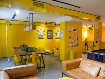 Terpy Force - Social Weed Club cannabis club Gran Canaria – entry pass