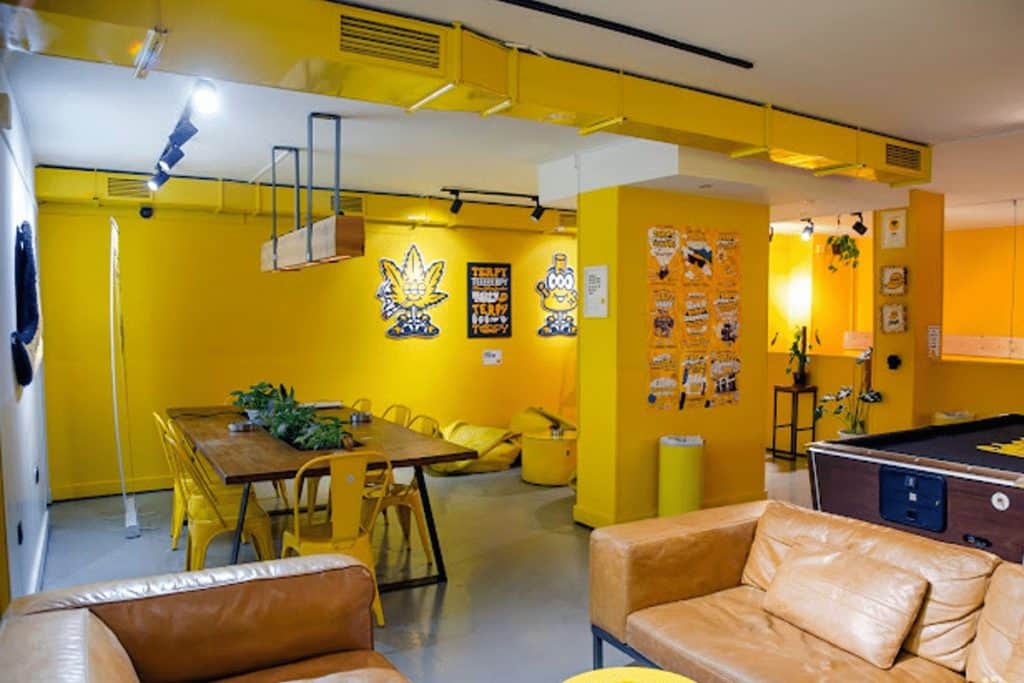 Terpy Force - Social Weed Club 1 Terpy Force - Social Weed Club cannabis club Gran Canaria – entry pass