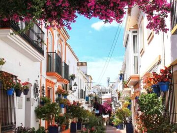 Estepona M&aacute;laga Cannabis Clubs