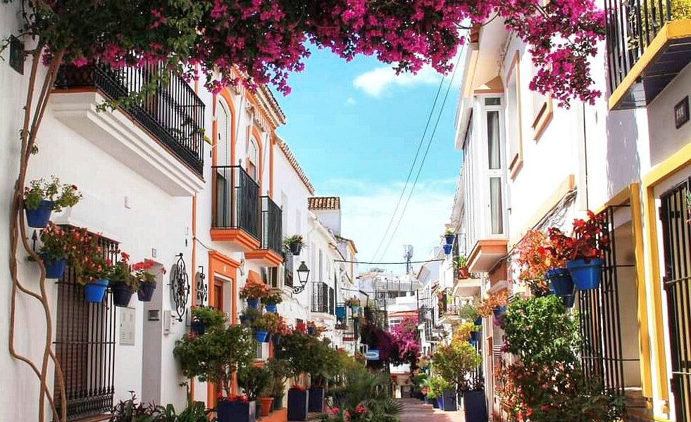 Clubes de Cannabis de Estepona M&aacute;laga