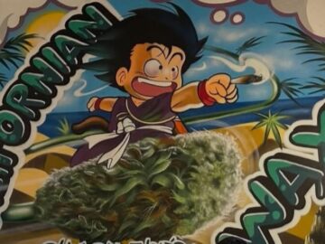 Social Weed Club Californian Wax Csc &ndash; Cannabis Club Pass